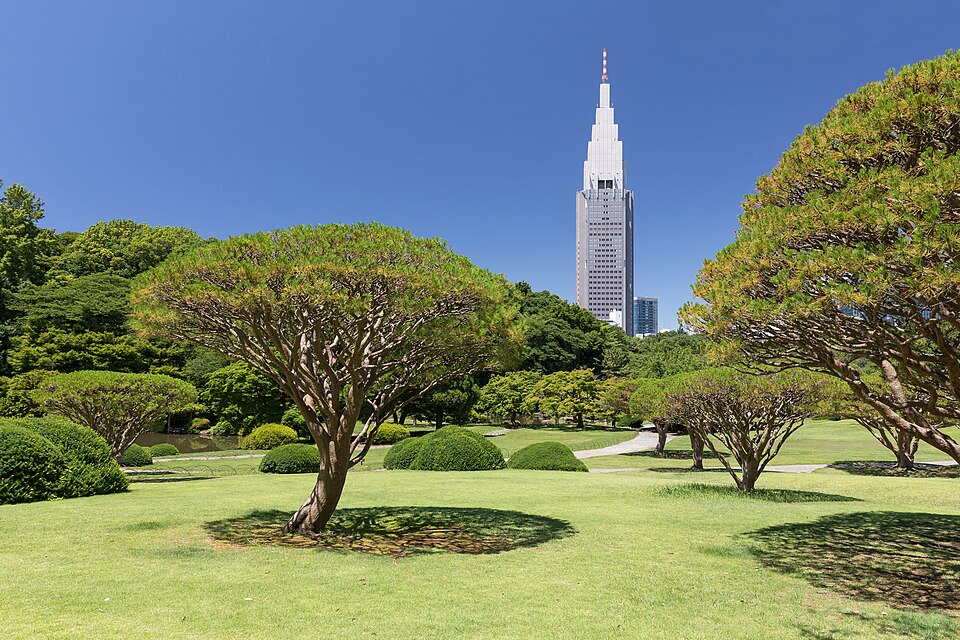 新宿御苑の芝生と木立。後方に高層ビルが見える風景